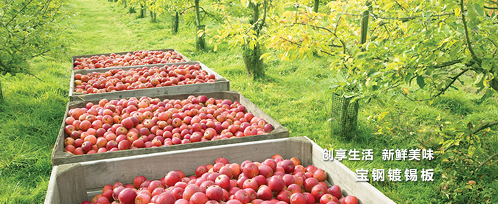 金沙js3833(中国游)有限公司官网