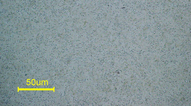 热处置惩罚sk85的金相组织